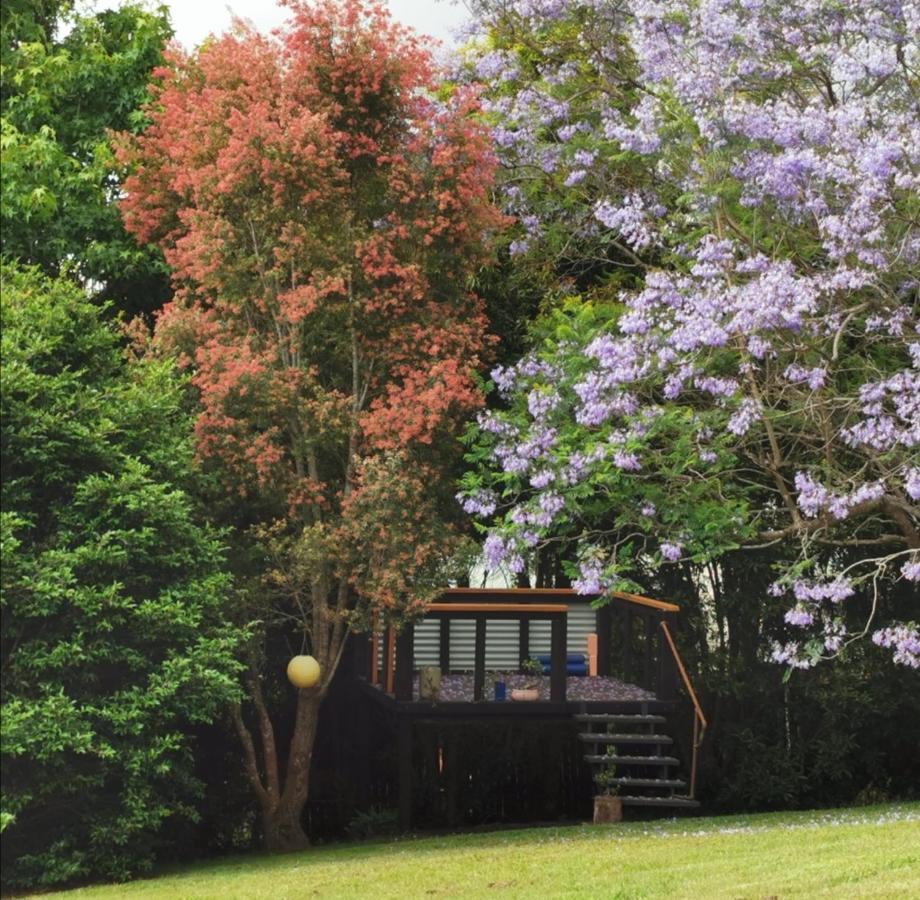 Wyndover Mountain Retreat Beechmont ภายนอก รูปภาพ