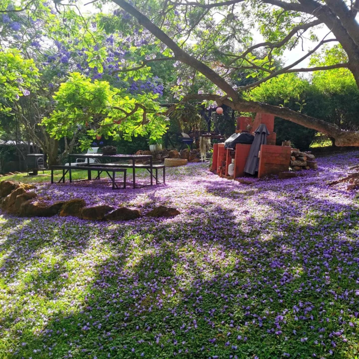 Wyndover Mountain Retreat Beechmont ภายนอก รูปภาพ