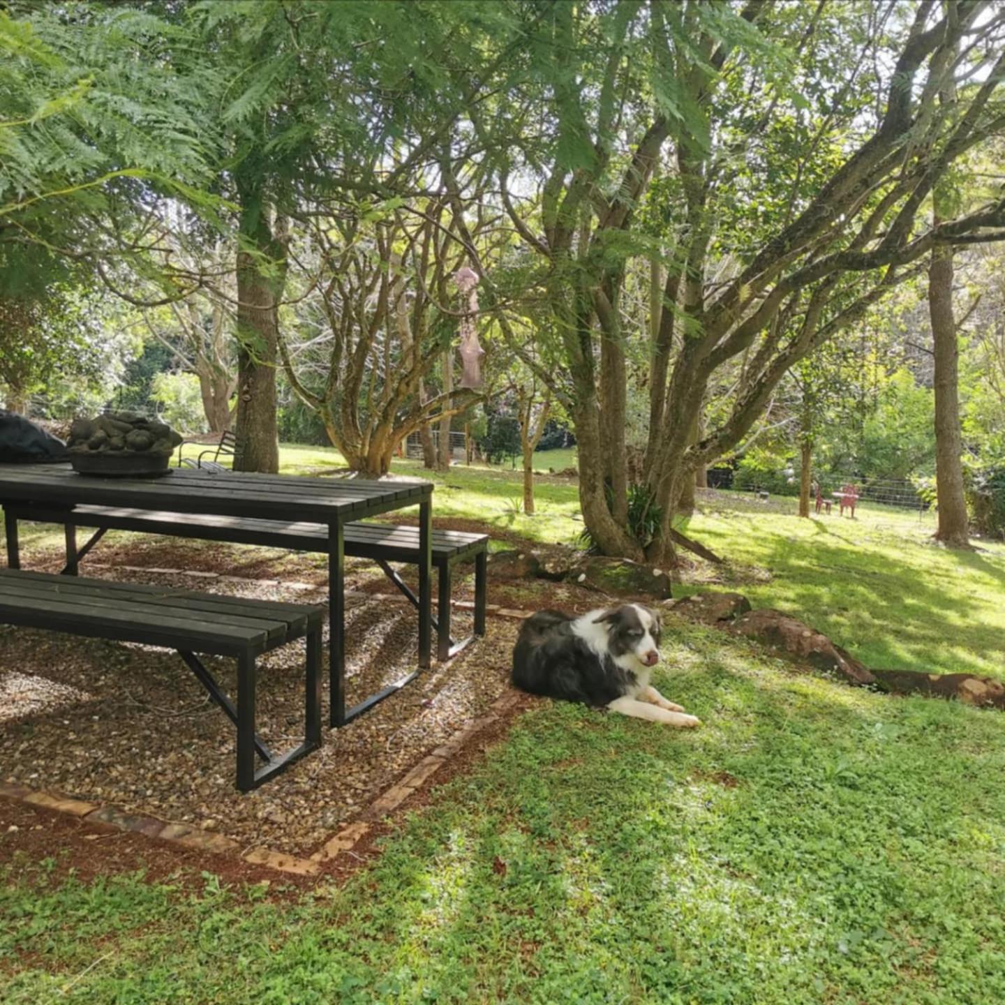 Wyndover Mountain Retreat Beechmont ภายนอก รูปภาพ