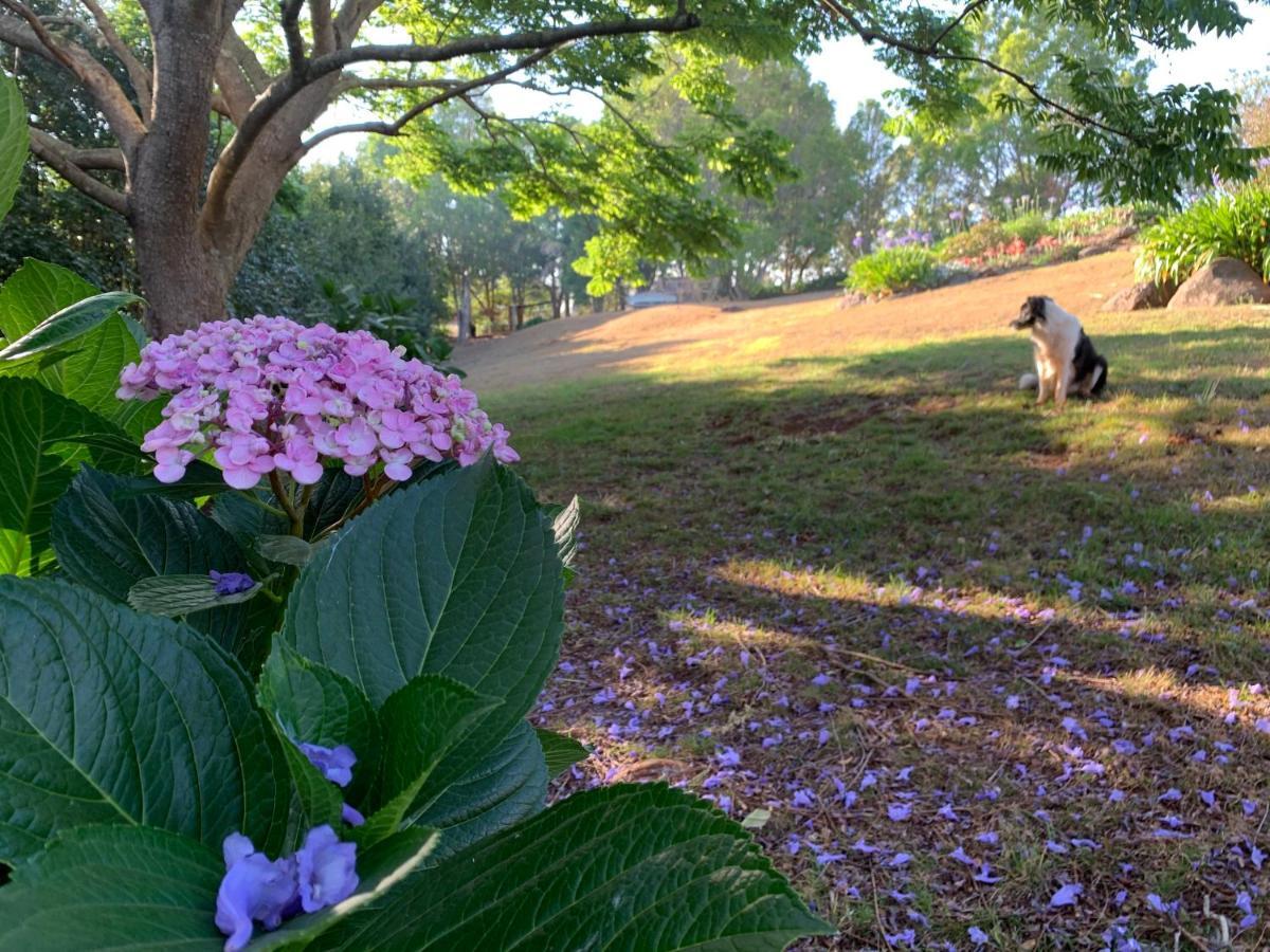Wyndover Mountain Retreat Beechmont ภายนอก รูปภาพ